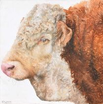 Katie Wilkins (British 20th/21st century) Portrait of a Hereford bull