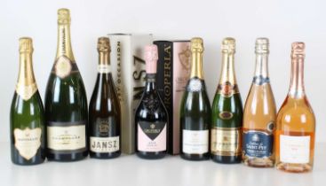 8 bottles including 1 Magnum Mixed Lot Fine Sparkling Wines and Champagne