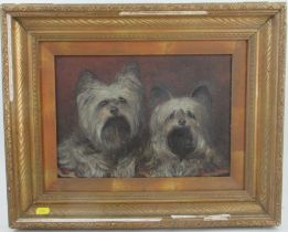 An oil on canvas, portrait of two terriers, 10ins x 13.5ins