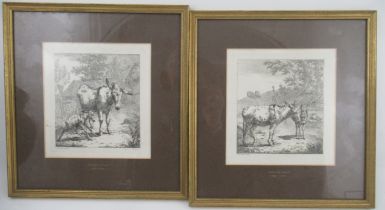 Robert Hills, two etchings, Donkeys, 7ins x 6.5ins