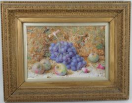 William Hough, watercolour, study of grapes, apples and berries against a mossy background, 10ins