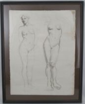 Winifred Ballard, charcoal, life study, 24ins x 19ins