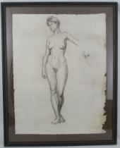 Winifred Ballard, charcoal, life study, 24ins x 19ins