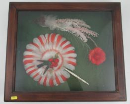 A cased taxidermy bird, together with a feather circular fan mounted with a bird, 18ins x 21ins x