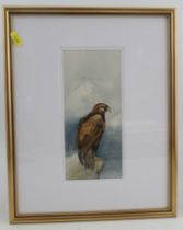 Eldercott, watercolour, study of an Eagle on a rocky outcrop, 8.75ins x 4ins