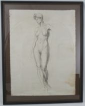 Winifred Ballard, charcoal, life study, 24ins x 19ins