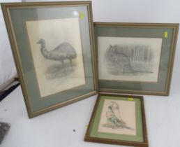 Steve Richardson, two pencil drawings, Kangaroo and Emu, together with a print of a parrot