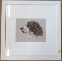 Beverley Courtney, limited edition print, spaniel portrait, 8ins x 9.5ins