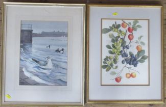 Robert Gilmor, watercolour, sea birds, 13.5ins x 10ins, together with a print of fruit