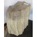 A piece of fossilised wood