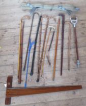 A collection of walking sticks, some with silver mounts, some carved, together with a swagger stick,