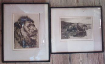 Herbert Dickson, two dry point etchings, studies of lions, 8ins x 10.25ins and 11.75ins x 8.5ins