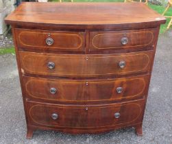 An Edwardian mahogany bow front chest, of two short over three long drawers, with chequer band