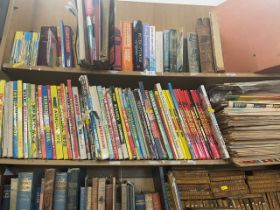 Two shelves of books, annuals etc