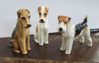 Three Royal Worcester models of dogs, to include a standing Wire Haired Terrier, and two seated