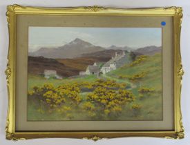 Alfred Oliver, oil on board, A white farmhouse with broom to the foreground and mountains to the
