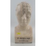 A Phrenology head by L.N.Fowler , height 12ins