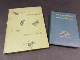 Beetles, Butterflies, Moths and other Insects, by A.W.Kappel & W. Egmount Kirby, Cassel & Co Ltd,