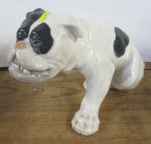 A Royal Copenhagen model, of a seated English Bulldog, No 778, made before 1923, small chip to the