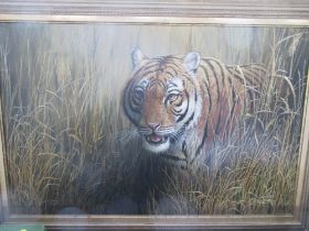 A study of a tiger, Mark Chester, 19ins x 29ins