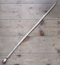 A vertebrae walking cane, length 31ins