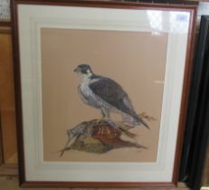 Two studies of birds of prey, signed Masters and H Tomblin  18ins x 16ins, 15ins x 18ins