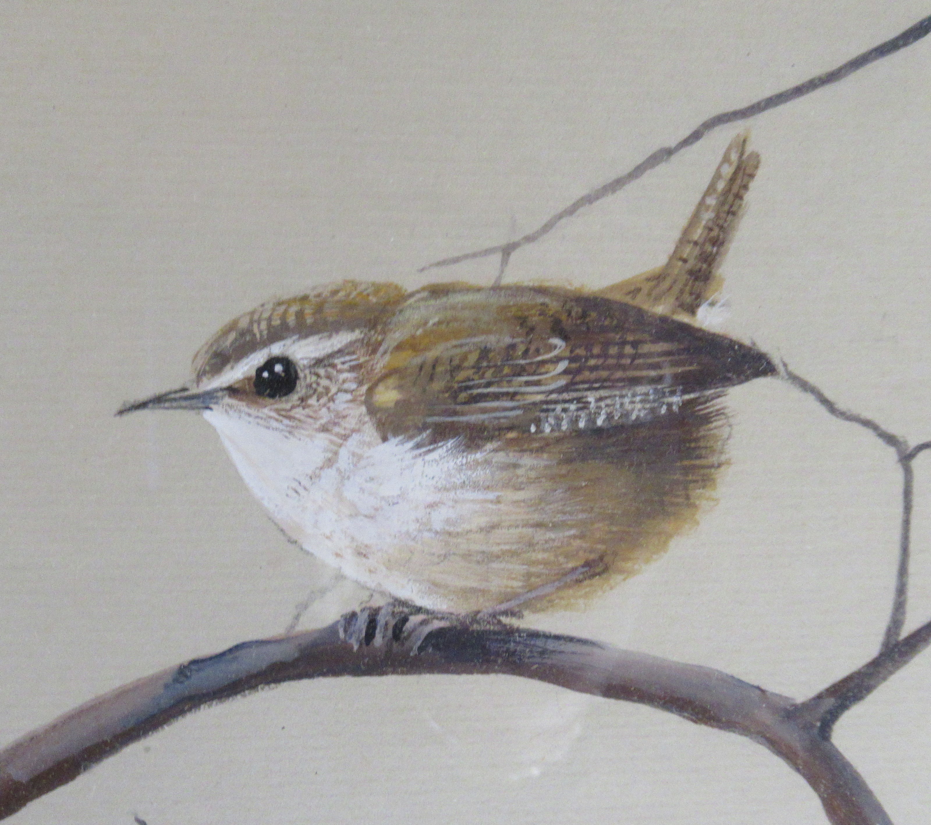 Pollyanna Pickering, watercolour, studies of wren with framed sketch book, 12ins x 33ins - Image 5 of 5