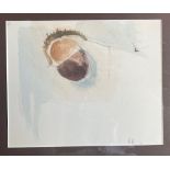 Adrian Heath, mixed media on paper, still life study of a horse chestnut, 7.5ins x 9ins (D)