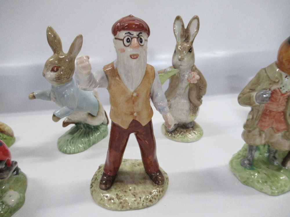 A collection of Royal Albert  Beatrix Potter figures to include, Peter Rabbit, Mr McGregor, Goody - Image 4 of 6