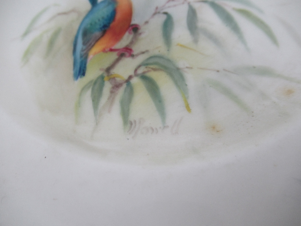 A Royal  Worcester tea cup decorated with a robin by Powell , a  saucer decorated with a Yellow - Image 3 of 6