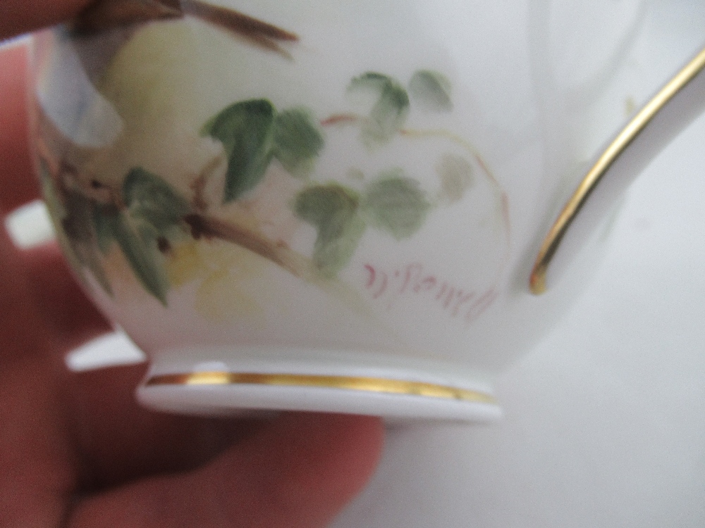 A Royal Worcester cup decorated with a robin  saucer decorated with a Linnet and side plate - Image 3 of 8