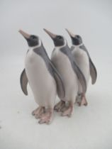 Royal Copenhagen model of three penguins (one tip of beak damaged) height 10ins made before 193 No