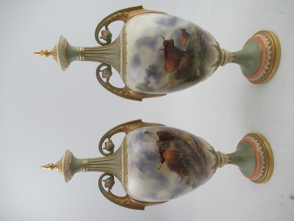 A pair of Royal Worcester covered vases, decorated with Highland Cattle in landscape to the front