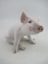 Royal Copenhagen model of a Pig  No 414 made before 1923