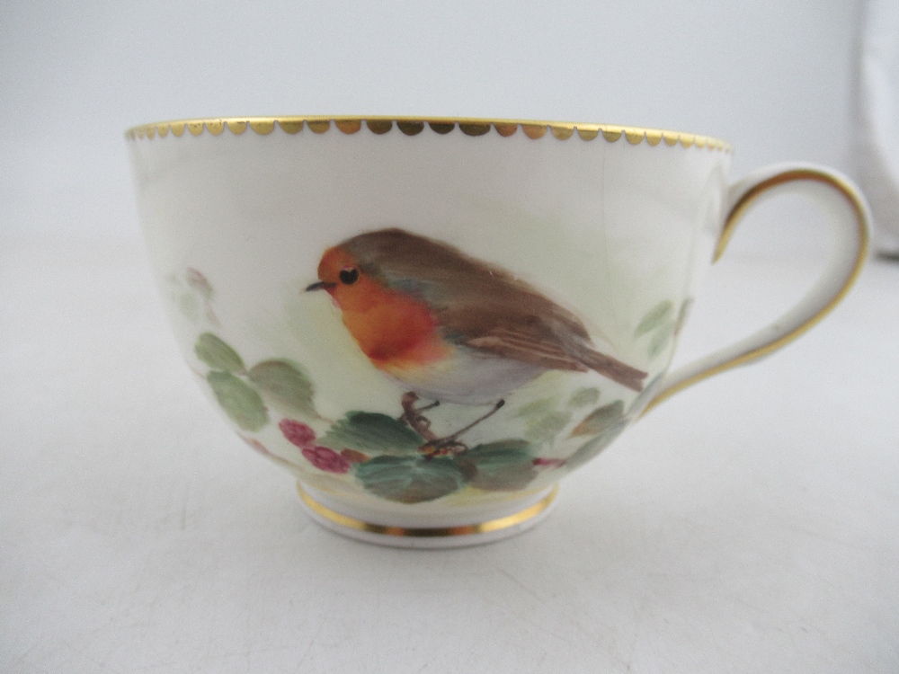A Royal  Worcester tea cup decorated with a robin by Powell , a  saucer decorated with a Yellow - Image 5 of 6