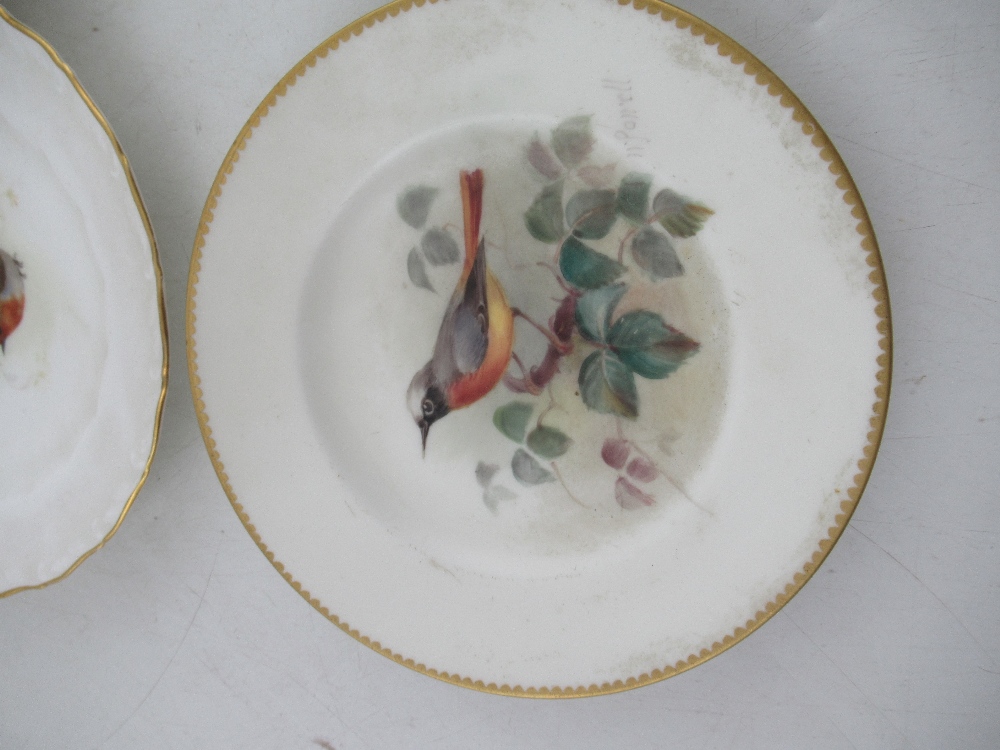 Two Royal Worcester miniature plates decorated with a Red Start, Black bird, Robin and a Linnet by - Image 3 of 5