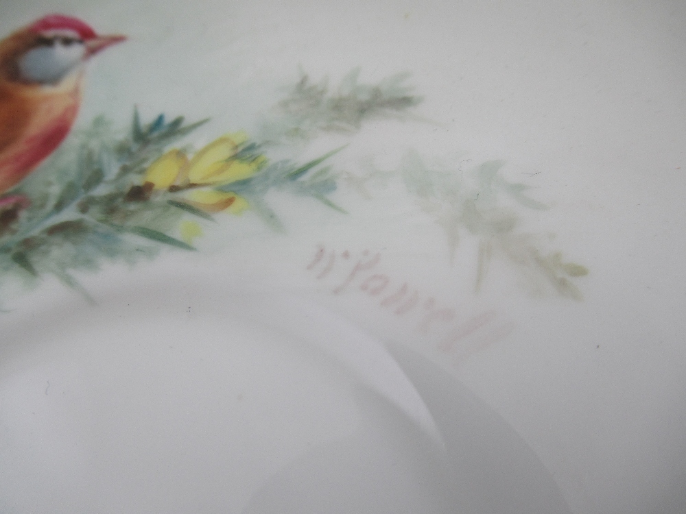 A Royal Worcester cup decorated with a robin  saucer decorated with a Linnet and side plate - Image 6 of 8