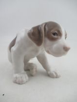 Bing and Grondahl large model of seated puppy No 1690 made in 1915 height 9ins, length 11ins