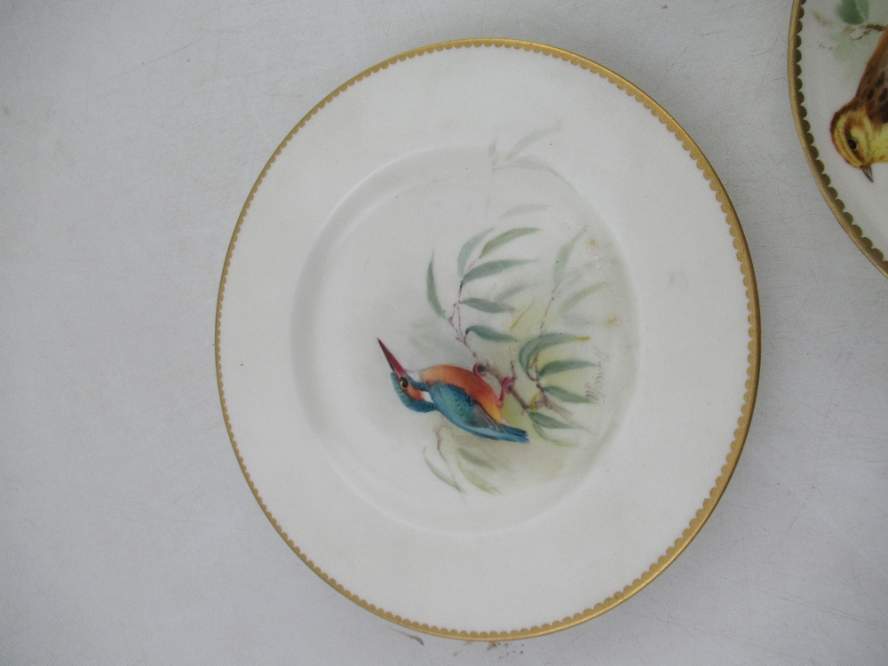 A Royal  Worcester tea cup decorated with a robin by Powell , a  saucer decorated with a Yellow - Image 2 of 6