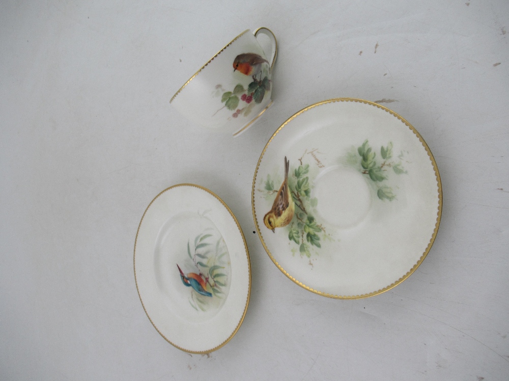 A Royal  Worcester tea cup decorated with a robin by Powell , a  saucer decorated with a Yellow