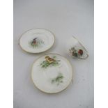A Royal  Worcester tea cup decorated with a robin by Powell , a  saucer decorated with a Yellow