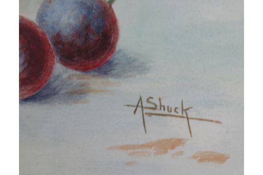 Albert Shuck, pair of watercolours, fruit to a mossy background, 10ins x 13.5ins - Image 3 of 6