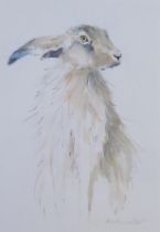 Heather Fitz, Contemporary animal Artist, print of a Hare on watercolour paper, signed, frame size