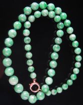 A Jadeite Graduated Bead Necklace with a 9ct gold clasp (marked), largest bead c. 9.6mm, 19" (48cm),
