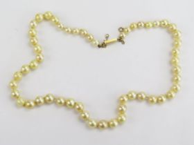 A Single Strand Graduated Pearl or Cultured Pearl Necklace with a precious yellow metal clasp,