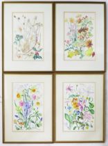 Patricia Drew, Four floral watercolours, signed and dated 1988 and 1990, image sizes 40 x 26, F & G