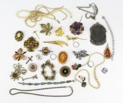 A Selection of Costume Jewellery including a SPHINX faux amethyst brooch, hallmarked silver 'Lucky
