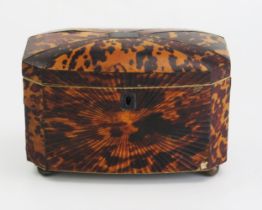 A 19th century blonde tortoiseshell tea caddy of rectangular outline, with shallow domed hinged lid,