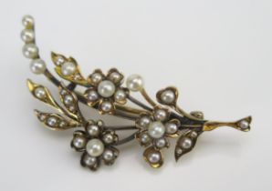 An Antique Pearl or Cultured Pearl Foliate Spray Brooch in a precious yellow metal setting, 46.