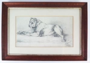 J Jaques, early C20th pencil study of a resting lion, signed lower left, 40 x 22cm, F & G